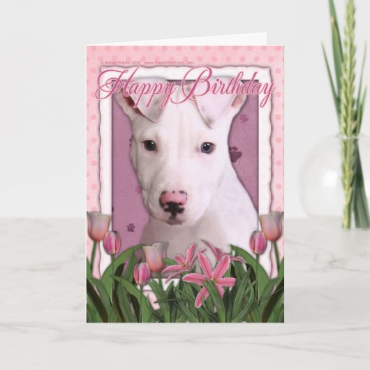 Alles Gute zum Geburtstag - Pitbull - Petey Karte (Vorderseite)