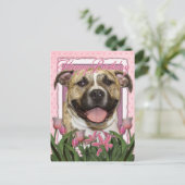 Alles Gute zum Geburtstag - Pitbull - Tigger Postkarte (Stehend Vorderseite)