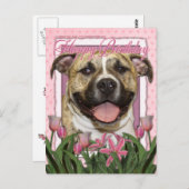 Alles Gute zum Geburtstag - Pitbull - Tigger Postkarte (Vorne/Hinten)