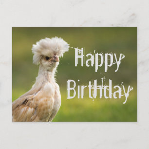 Alles Gute zum Geburtstag Polnisches Huhn Postkarte