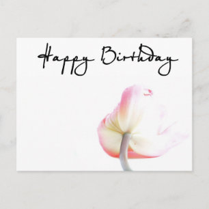 Alles Gute zum Geburtstag! Postkarte