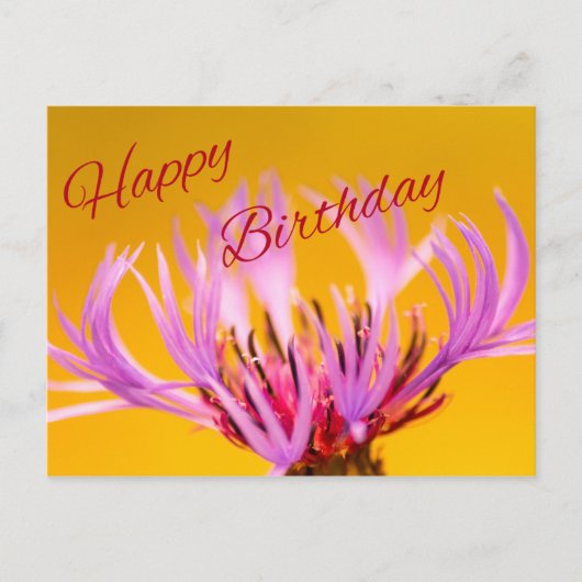 Alles Gute zum Geburtstag! Postkarte (Vorderseite)