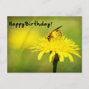 Alles Gute zum Geburtstag! Postkarte