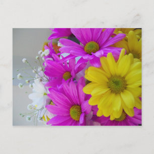 Alles Gute zum Geburtstag!!! Postkarte