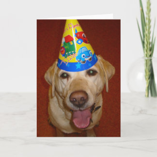 Alles Gute zum Geburtstag Prima- freier Raum nach Karte