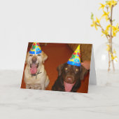 Alles Gute zum Geburtstag Prima und Jake Karte (Gelbe Blume)