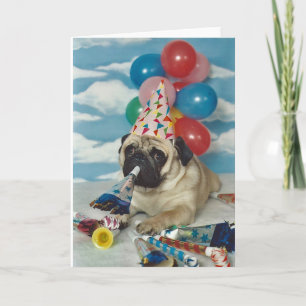 Alles Gute zum Geburtstag Pug Karte