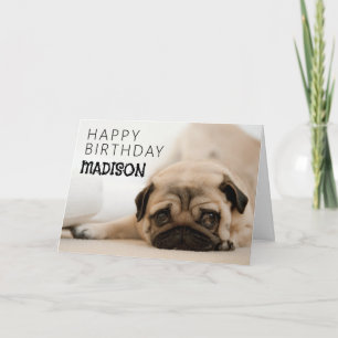 Alles Gute zum Geburtstag   Pug Karte