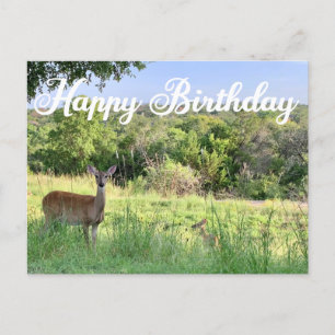 Alles Gute zum Geburtstag Reh Fotografie Schöne Na Postkarte