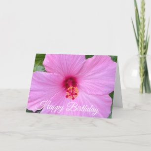 Alles Gute zum Geburtstag Rosa Hibiskusblüte Karte