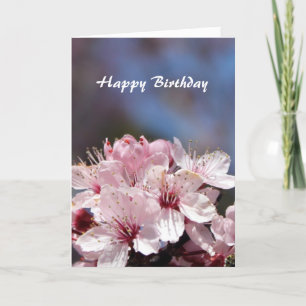 Alles Gute zum Geburtstag rosa Kirschblüten Karte
