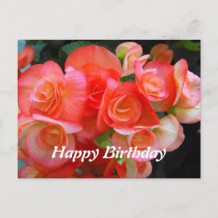 Alles Gute zum Geburtstag rote Begonienblumen Postkarte