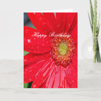 Alles Gute zum Geburtstag Rote Blume Karte