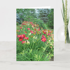 Alles Gute zum Geburtstag - roter Lilien-Garten II Karte