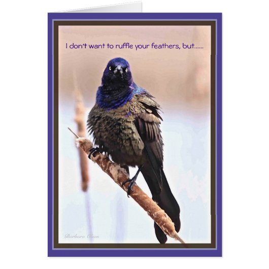 Alles Gute zum Geburtstag: Ruffelierte Federn (Vorne)