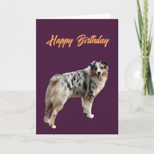 Alles Gute zum Geburtstag schöne Australian Shepar Karte
