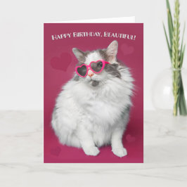 Alles Gute zum Geburtstag Schöne Niedliche Katze i Feiertagskarte