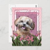 Alles Gute zum Geburtstag - ShihPoo - Maggie Postkarte (Vorne/Hinten)