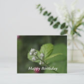 Alles Gute zum Geburtstag, sommerliche Himbeere Bl Postkarte (Stehend Vorderseite)