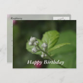 Alles Gute zum Geburtstag, sommerliche Himbeere Bl Postkarte (Vorne/Hinten)