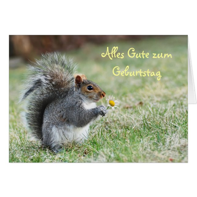 Alles Gute zum Geburtstag Squirrel Card (Vorderseite (Horizontal))
