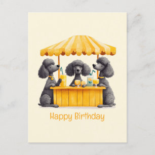 Alles Gute zum Geburtstag Standard Pudel Hunde Lem Postkarte