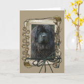 Alles Gute zum Geburtstag - Stone Paws - Neufundla Karte (Gelbe Blume)