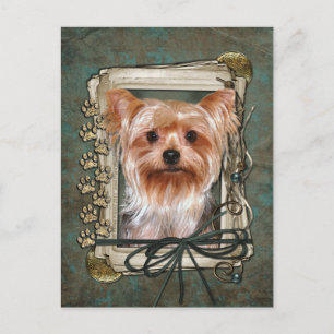 Alles Gute zum Geburtstag - Stone Paws - Yorkshire Postkarte