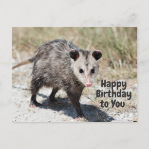 Alles Gute zum Geburtstag Süßer Opossum gehend Postkarte