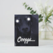 Alles Gute zum Geburtstag - Trick Candles - Dackel Postkarte (Stehend Vorderseite)