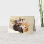 Alles Gute zum Geburtstag, Trio der Kätzchen Karte (Rückseite)