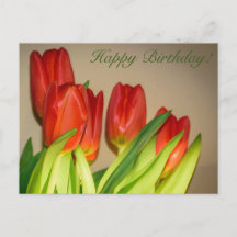 Alles Gute zum Geburtstag! Tulips Postcard
