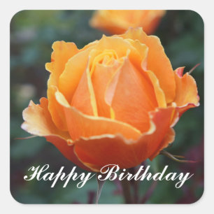 Alles Gute zum Geburtstag über Rose #1 Quadratischer Aufkleber