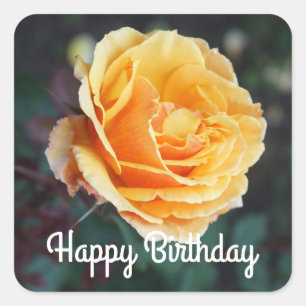 Alles Gute zum Geburtstag über Rose #3 Quadratischer Aufkleber