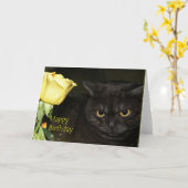 Alles Gute zum Geburtstag - Venezia Karte (Gelbe Blume)