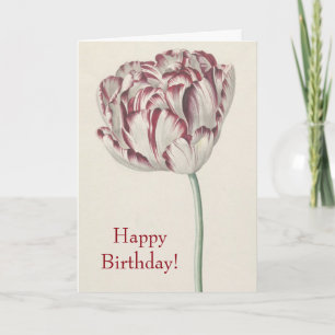 Alles Gute zum Geburtstag - Vintage rote und weiße Karte