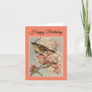 Alles Gute zum Geburtstag Vogel Grußkarte Karte