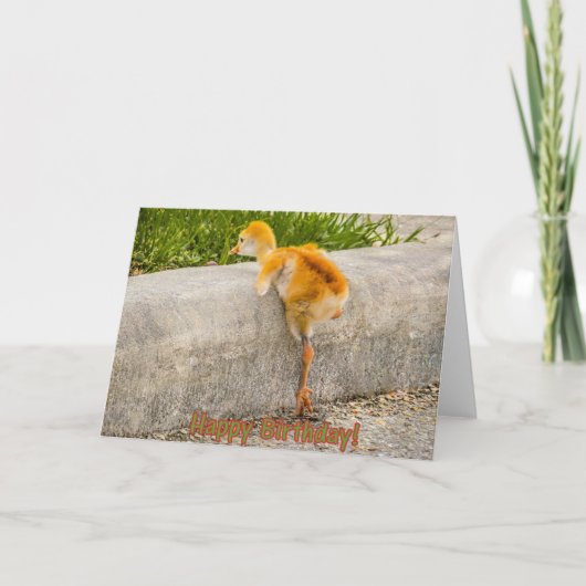 ALLES GUTE ZUM GEBURTSTAG Vogelbaby Karte (Vorderseite)