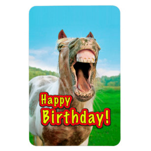 Alles Gute Zum Geburtstag Pferde Wohndekoration Haustierzubehor