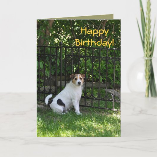 Alles Gute zum Geburtstag vom Hund Karte (Vorderseite)