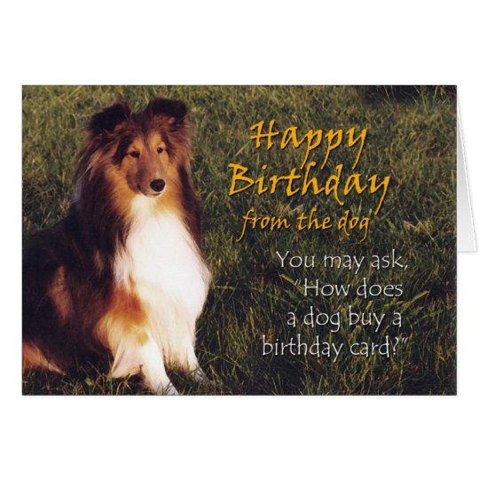 Alles Gute zum Geburtstag vom Hund Karte Zazzle