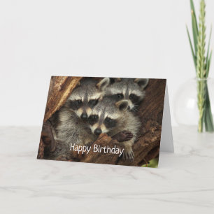 Alles Gute zum Geburtstag von allen Spaß Waschbäre Karte