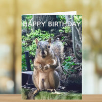 Alles Gute zum Geburtstag von Deez Nuts Funny Squi