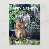 Alles Gute zum Geburtstag von Deez Nuts Funny Squi