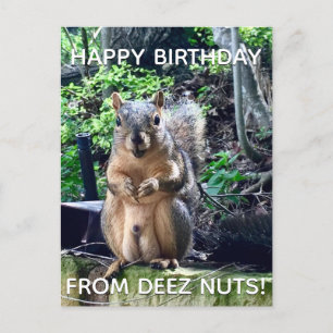 Alles Gute zum Geburtstag von Deez Nuts Funny Squi Postkarte