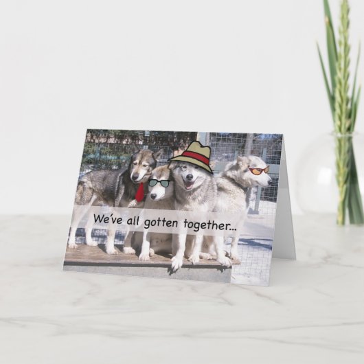 Alles Gute zum Geburtstag von der Gruppe, Huskies Karte (Vorderseite)