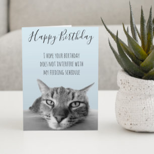 Alles Gute zum Geburtstag von der Katze Lustiger H Karte