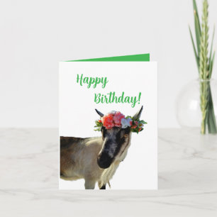 Alles Gute zum Geburtstag! Von Ihrem Lieblingskind Einladung