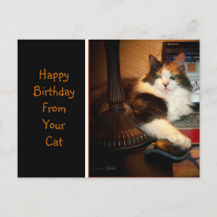 Alles Gute zum Geburtstag von Ihrer Katze Grußpost Postkarte