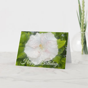 Alles Gute zum Geburtstag Weiße Blume Karte